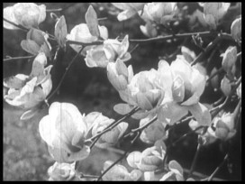 Ski printanier / Frühlingsschnee