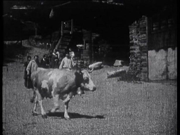 Freilichtaufführung - auch mit tierischen Schauspieler:innen. (Filmstill)