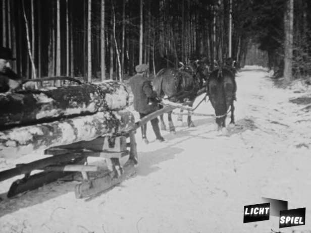 Mit zwei PS zur Sägerei: Schneebedeckte Wege erleichtern den Transport per Schlitten. (Filmstill)