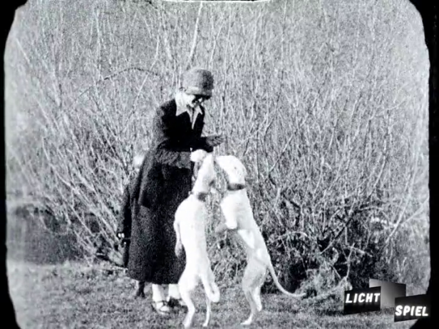 Dogdancing (Filmstill)