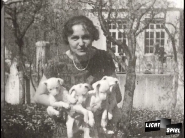 Ein bunter Strauss junger Hunde (Filmstill)