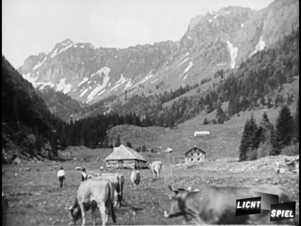 Auf der unteren Alp (Filmstill)